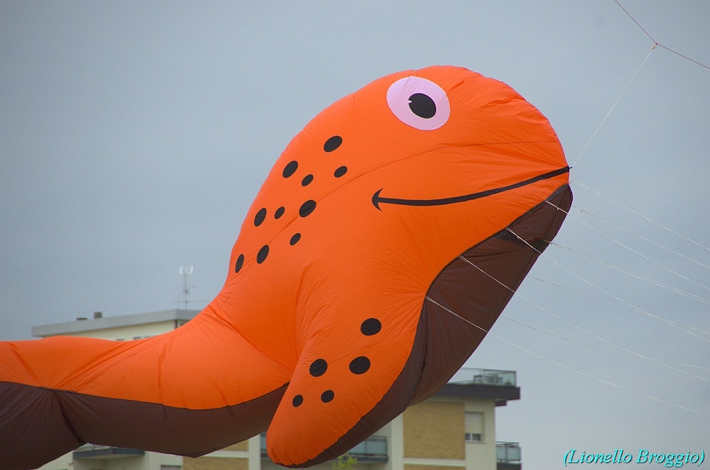 RIMINI 2012 - 059.jpg